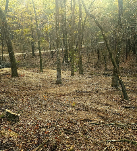 Land Clearing Services (4)