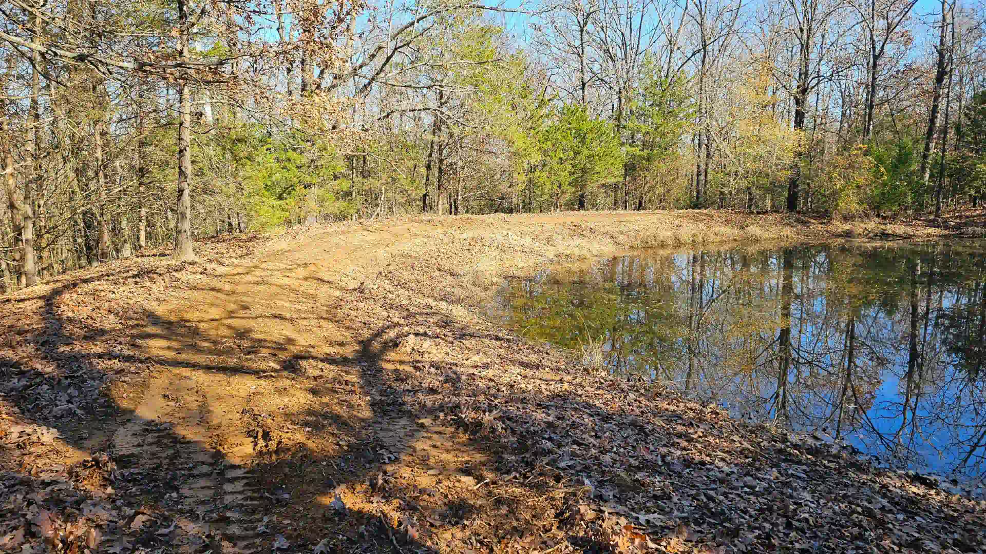 Land Clearing Services