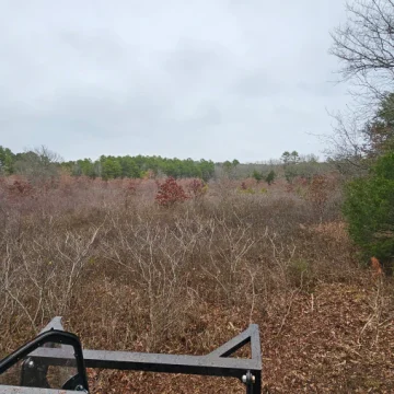 Forestry Mulching Jun 16 11