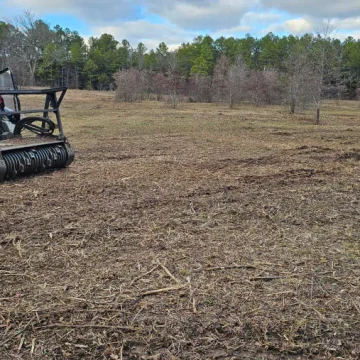 Forestry Mulching Jun 16 16