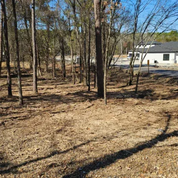 Forestry Mulching Jun 16 20