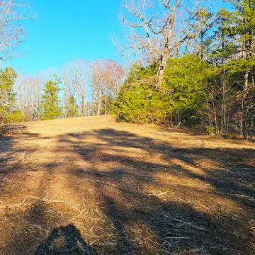Forestry Mulching Jun 16 22