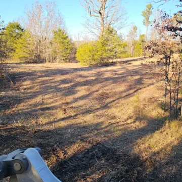Forestry Mulching Jun 16 3