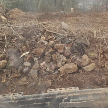 Land Clearing (1)