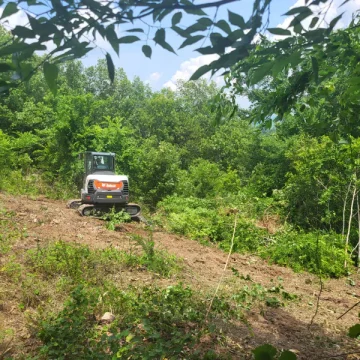 Land Clearing Jun 16 2