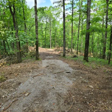 Land Clearing Jun 16 4