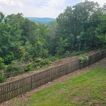 Land Clearing Jun 16 5