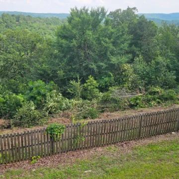 Land Clearing Jun 16 6