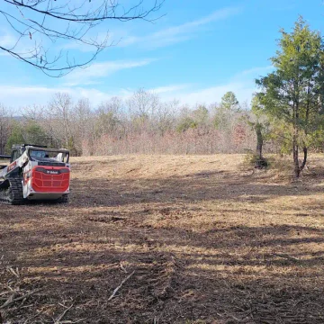 forestry mulching (4)