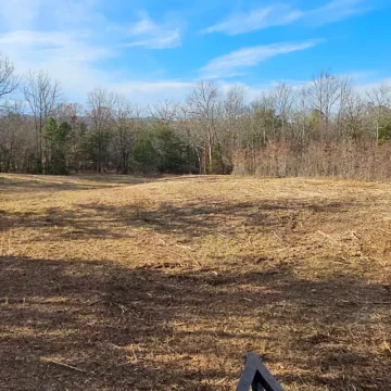 forestry mulching (5)